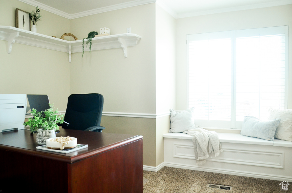 Office area with ornamental molding, carpet, baseboards, and visible vents