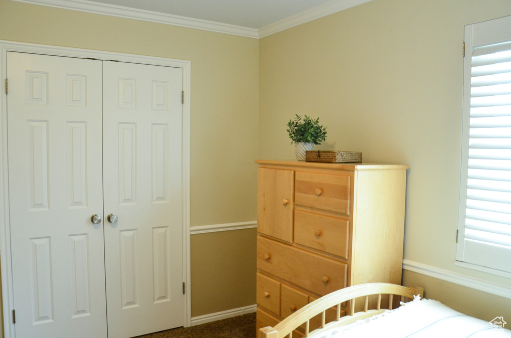 Bedroom with a closet, ornamental molding, baseboards, and dark carpet