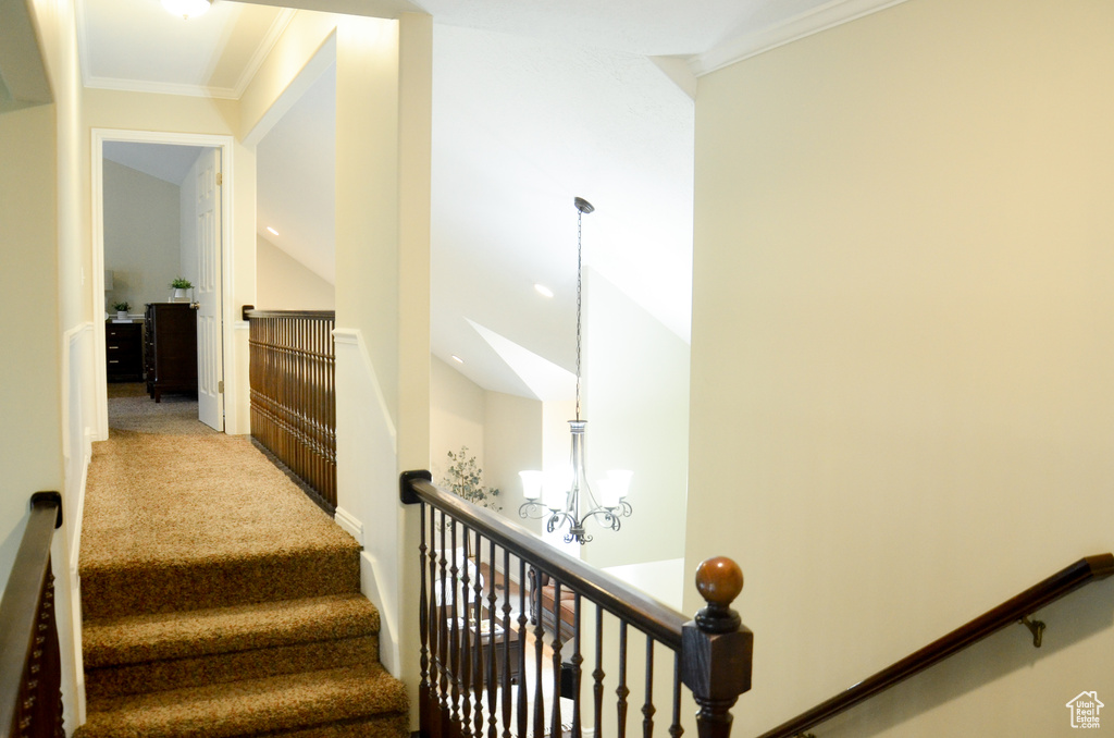 Stairway with crown molding and carpet flooring