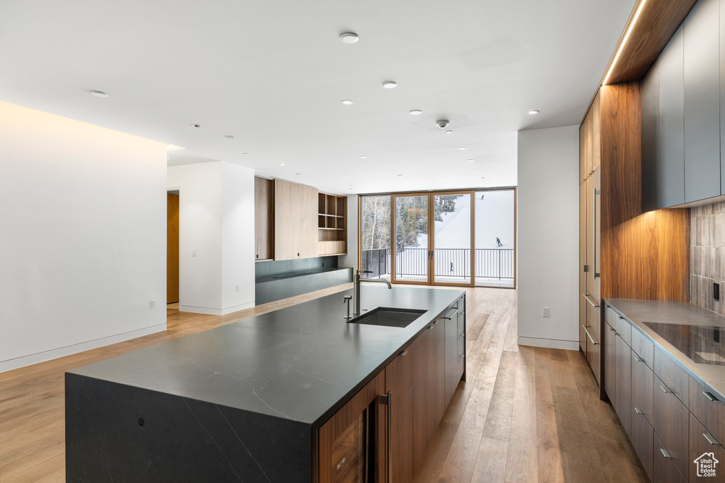 Kitchen featuring black electric cooktop, light wood finished floors, modern cabinets, a sink, and a spacious island