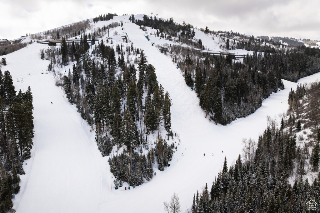 Snowy aerial view with a mountain view and a forest view