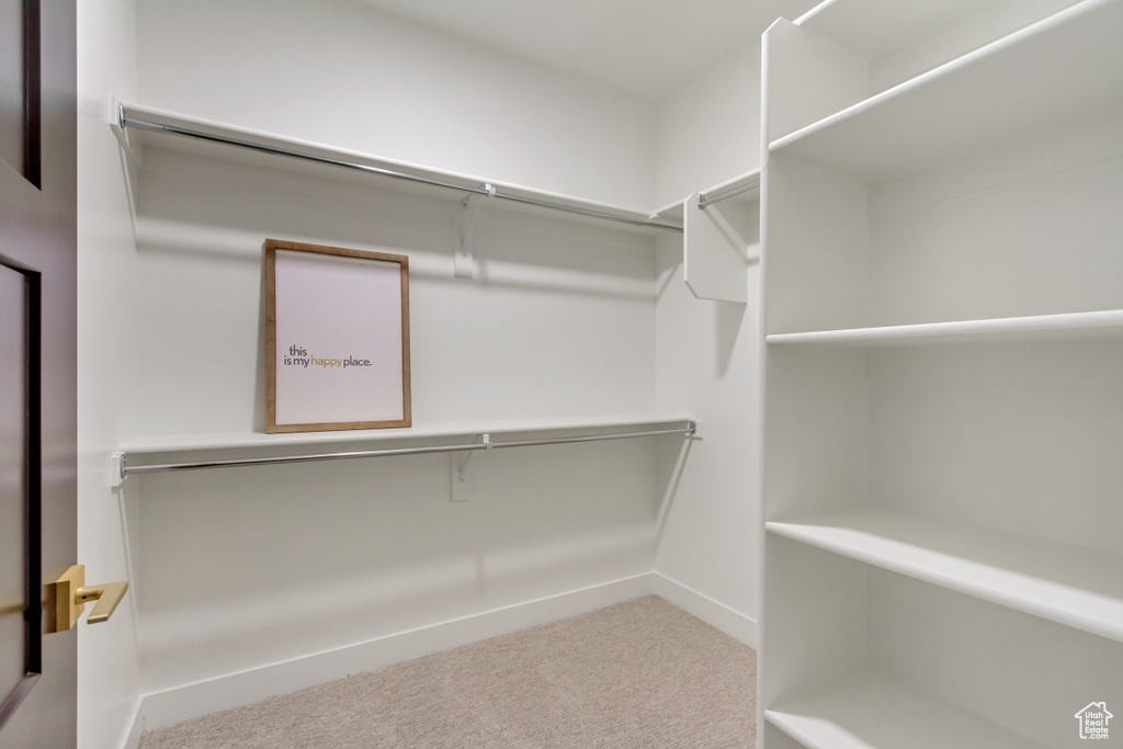 Spacious closet featuring carpet floors