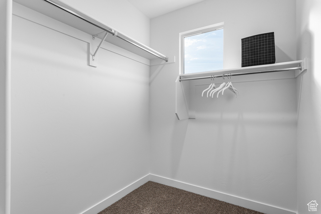Spacious closet featuring dark colored carpet