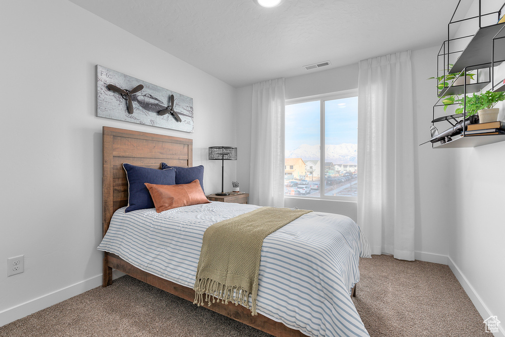 Carpeted bedroom with baseboards and visible vents