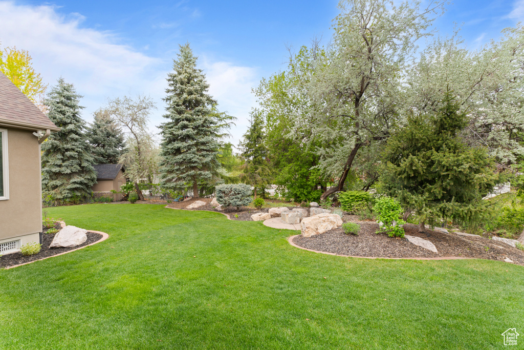 View of grassy yard