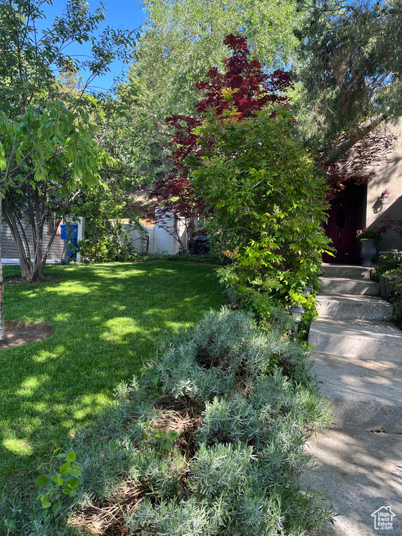 View of grassy yard