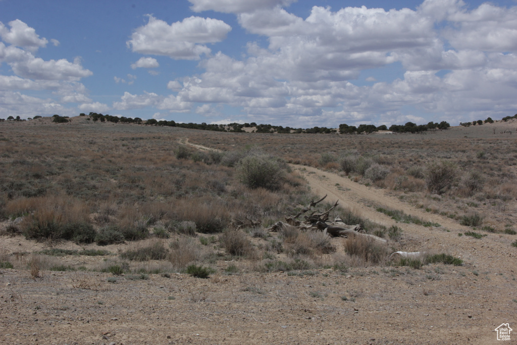 View of local wilderness featuring a rural view