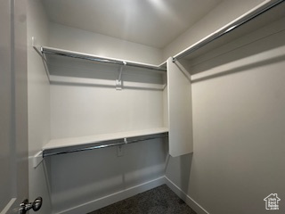 Spacious closet featuring dark carpet