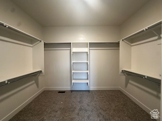 Walk in closet featuring carpet floors