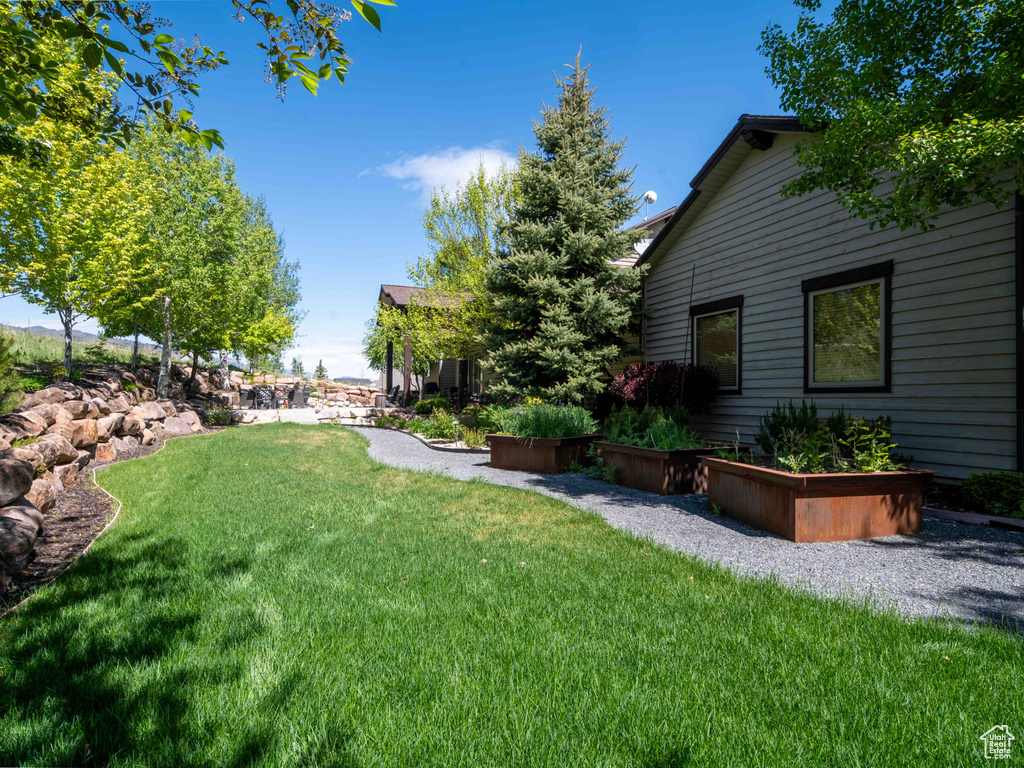 View of grassy yard