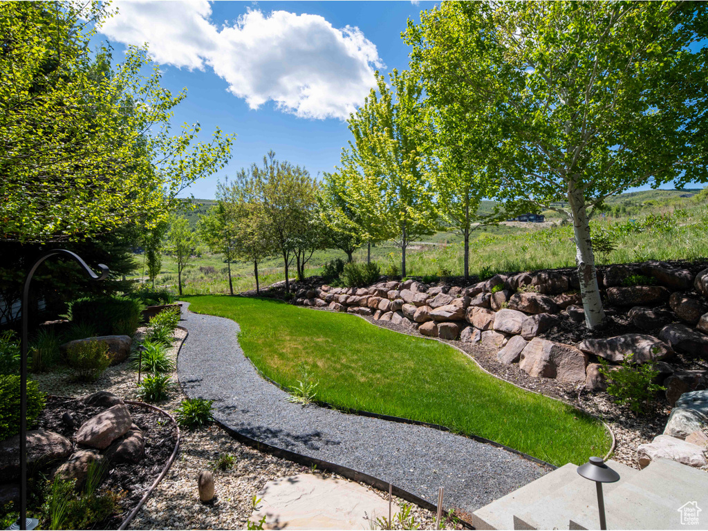 View of grassy yard