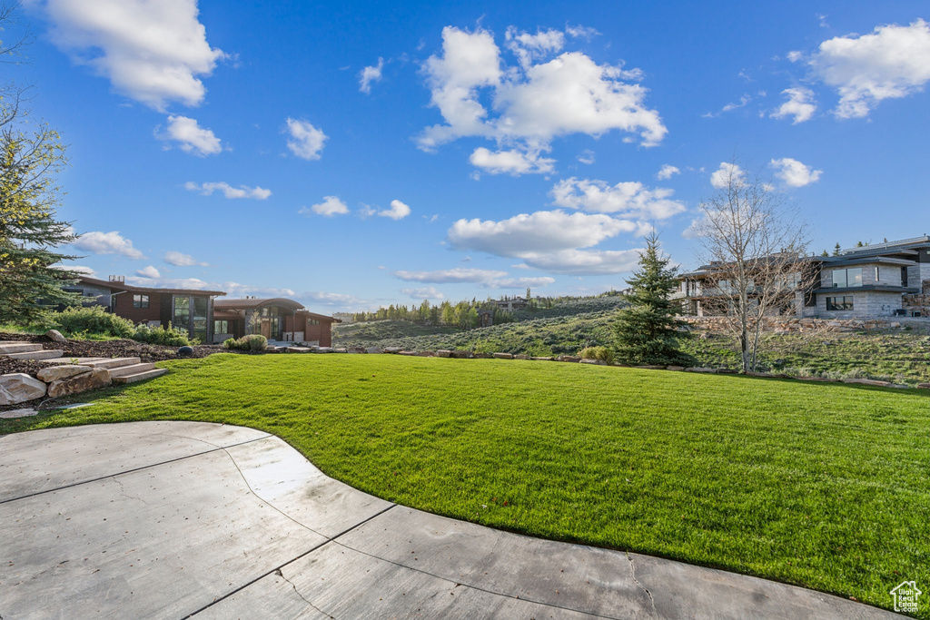 View of green lawn