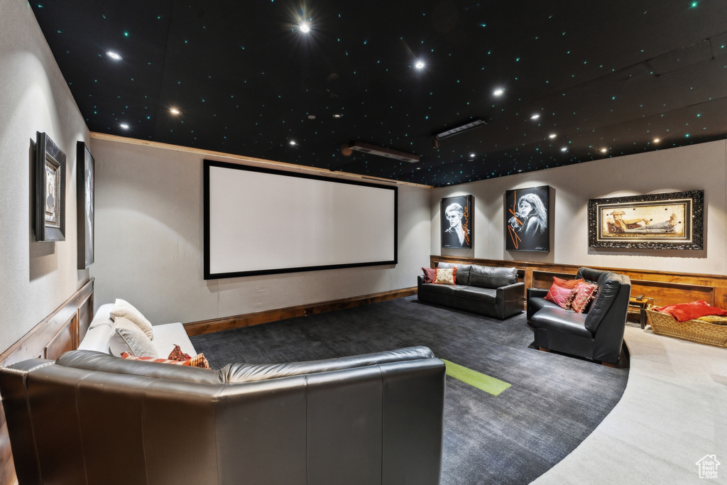 Home theater with carpet floors