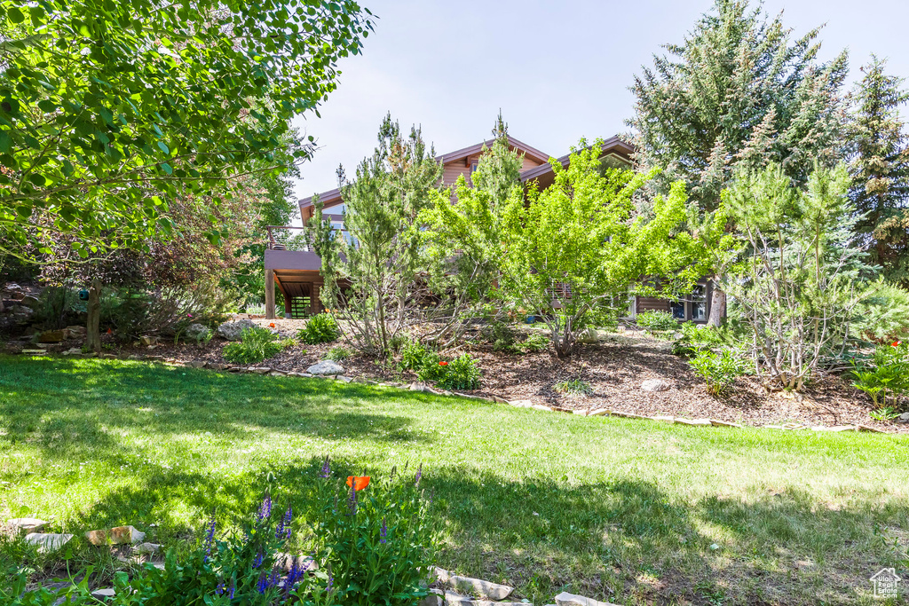 View of grassy yard
