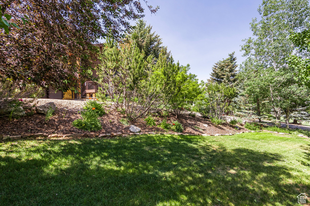 View of grassy yard