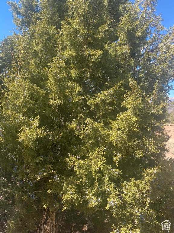View of nature