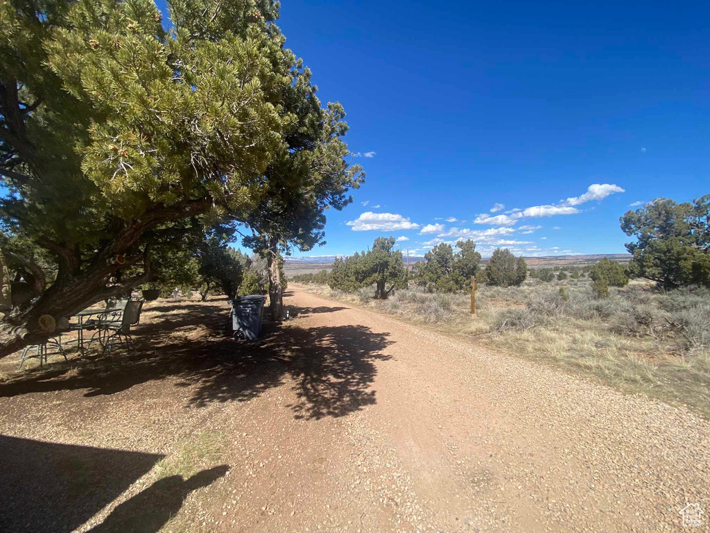 View of road