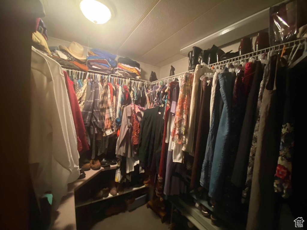 View of walk in closet