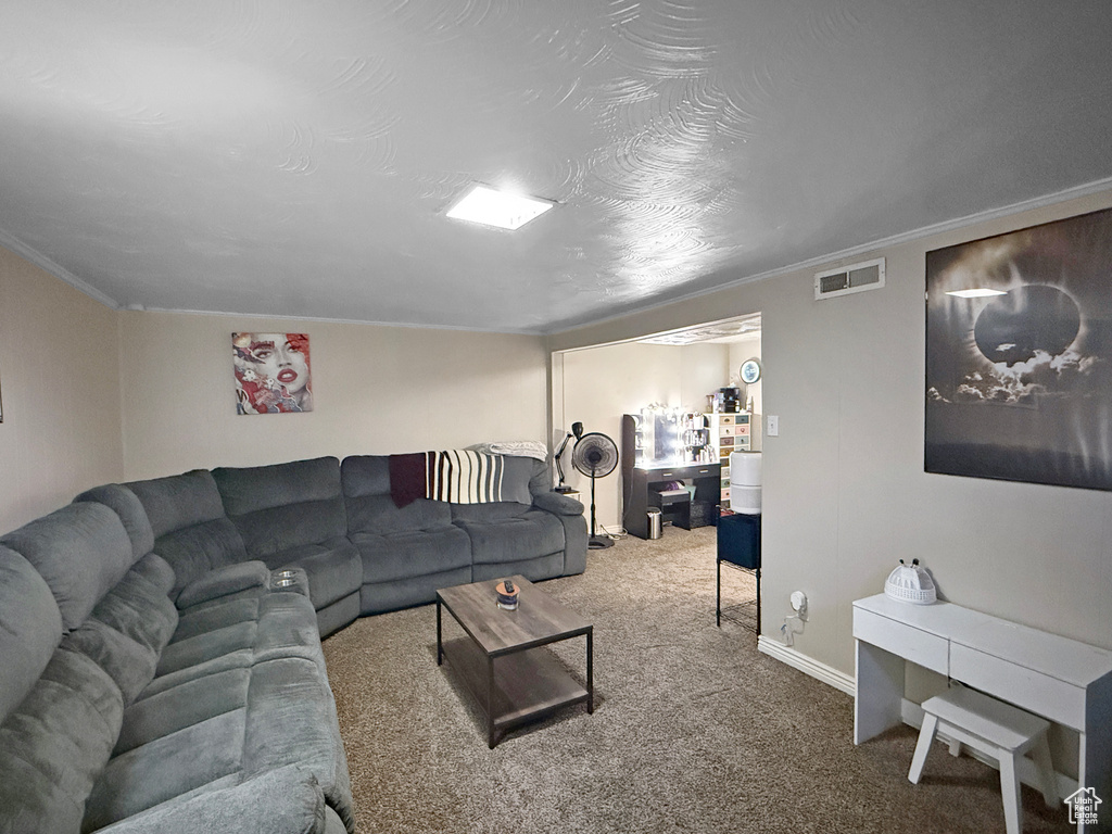 Carpeted living area with baseboards, visible vents, and ornamental molding