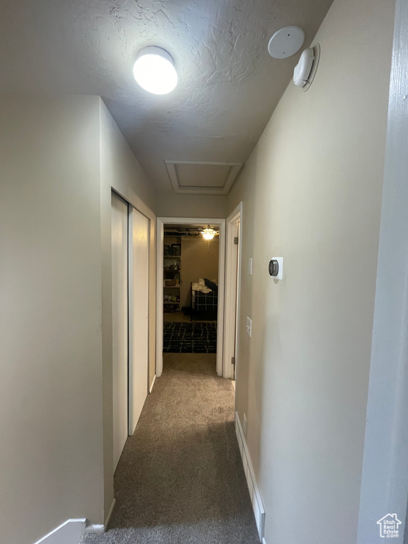 Hall featuring attic access, carpet, and a textured ceiling