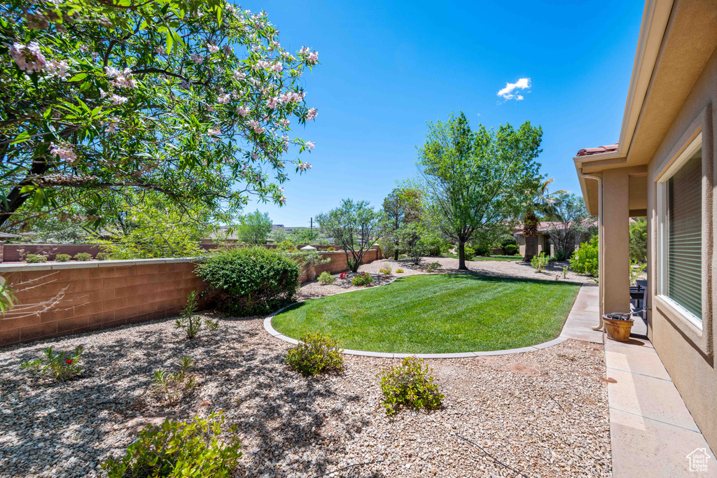 View of yard with a patio