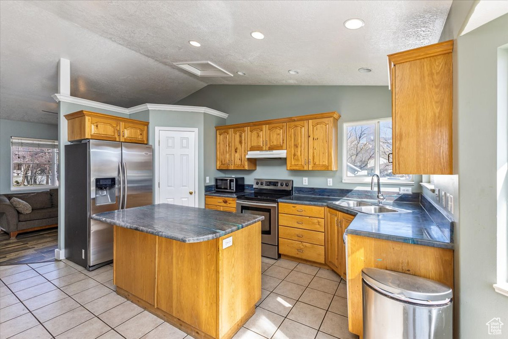 Kitchen with stainless steel appliances, a center island, under cabinet range hood, a sink, and dark countertops