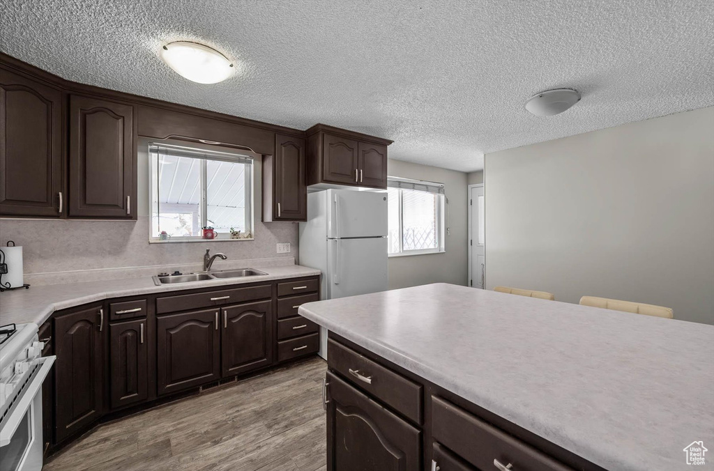 Kitchen featuring light countertops, dark brown cabinets, a sink, freestanding refrigerator, and gas range oven