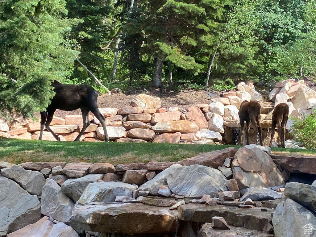 7169 CANYON DR Park City, UT 84098