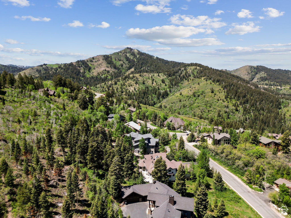 Aerial view of residential area with a mountain backdrop and a forest