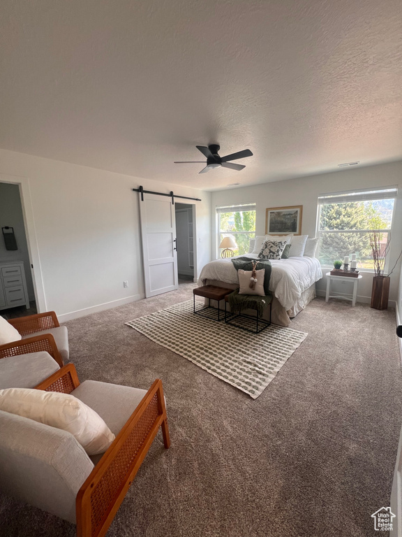 Bedroom featuring a barn door, carpet flooring, multiple windows, baseboards, and a textured ceiling