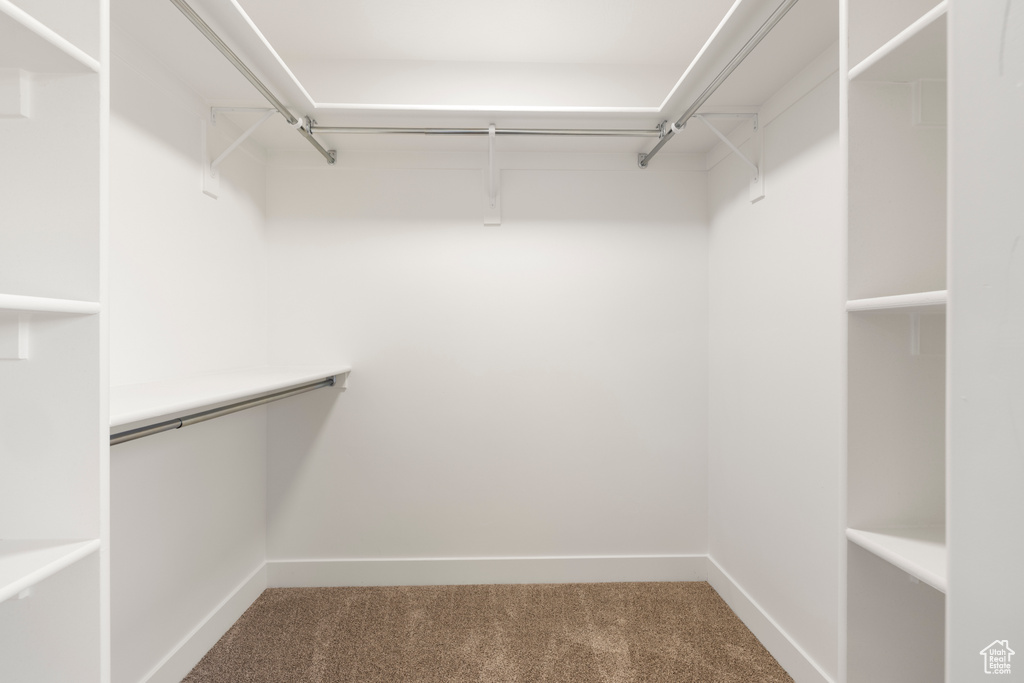 Walk in closet with carpet flooring