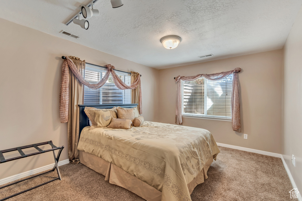 Carpeted bedroom featuring baseboards, visible vents, and multiple windows