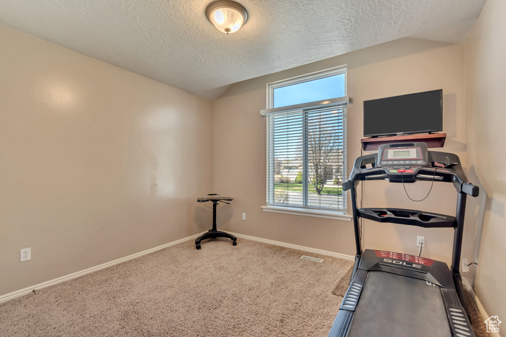 Workout area featuring baseboards, carpet flooring, a textured ceiling, and vaulted ceiling