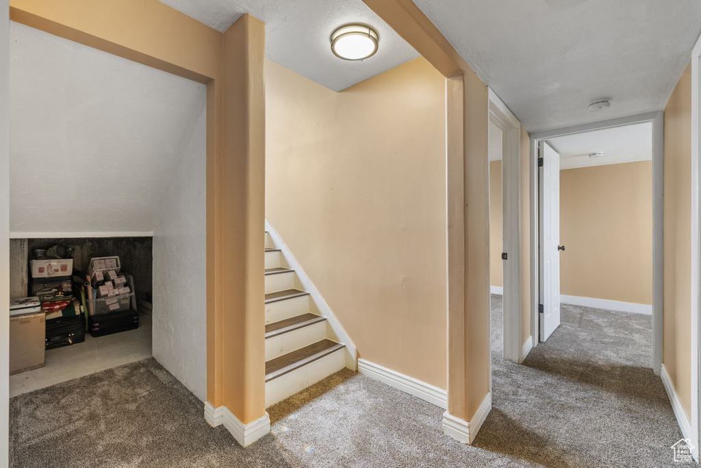 Staircase with baseboards and carpet