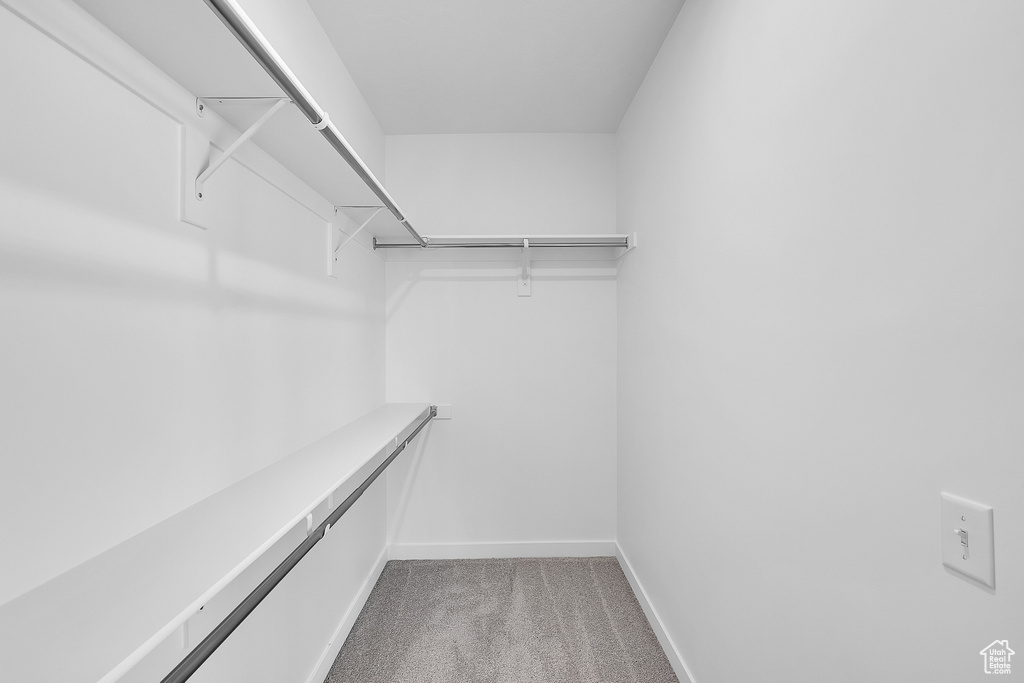 Walk in closet with light colored carpet