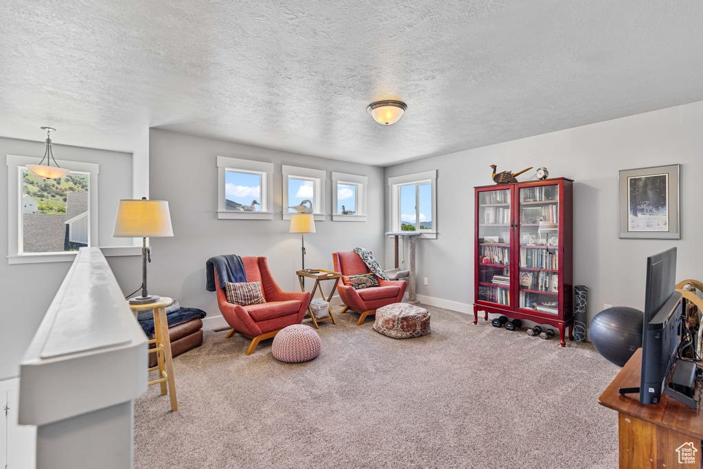 Sitting room with carpet flooring, a textured ceiling, and baseboards