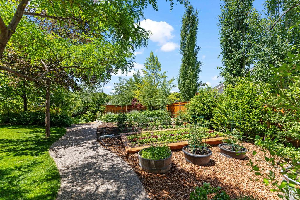 View of yard featuring a garden