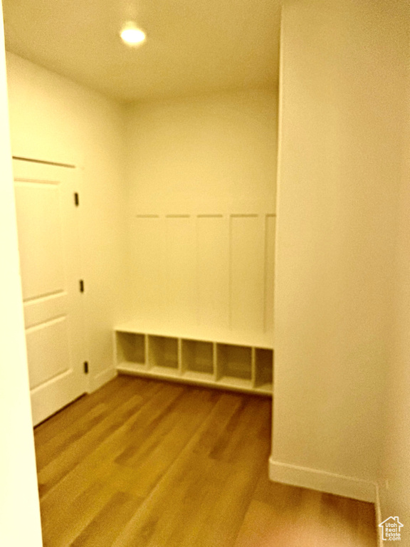 Walk in closet with light wood-type flooring