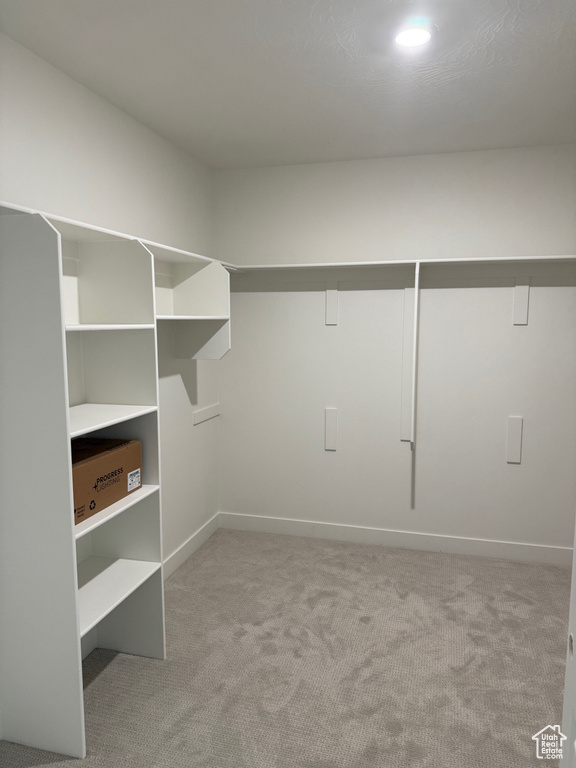 Spacious closet featuring carpet flooring