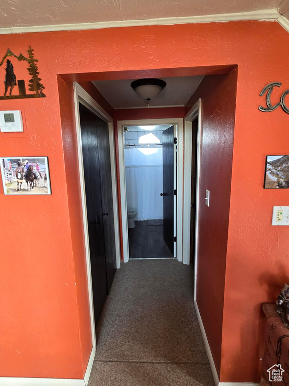 Corridor with a textured wall and carpet