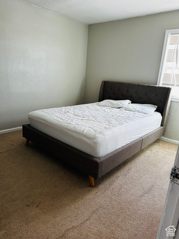 Bedroom featuring carpet floors