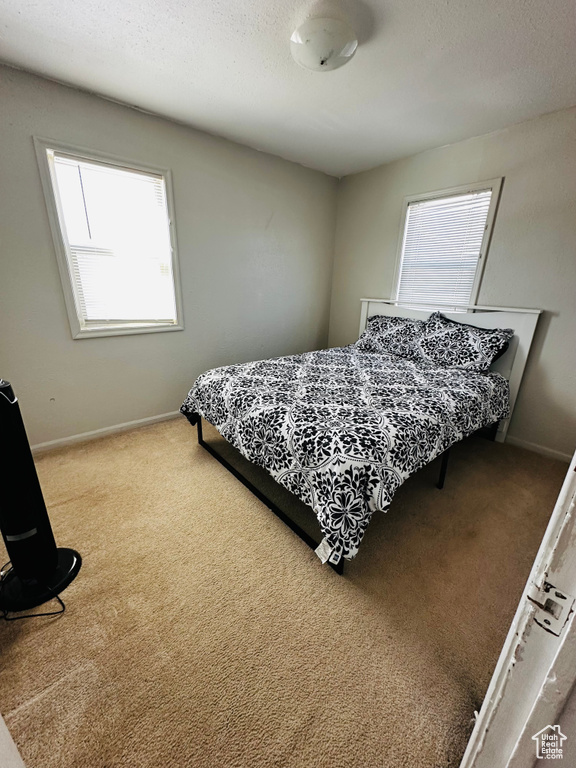 Bedroom featuring carpet flooring, baseboards, and a textured ceiling