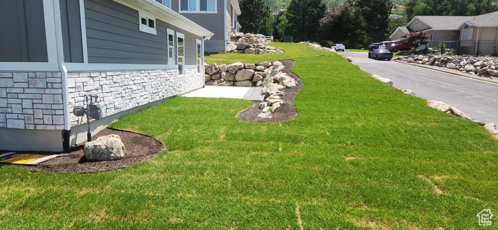 View of grassy yard