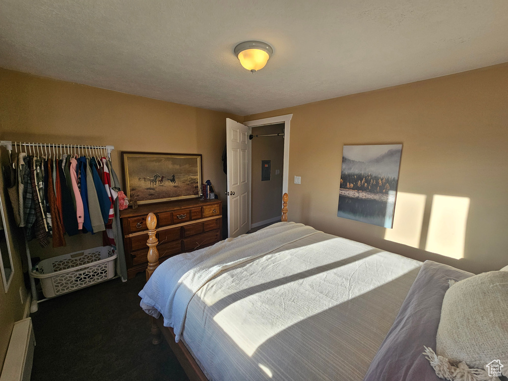 Carpeted bedroom with a closet