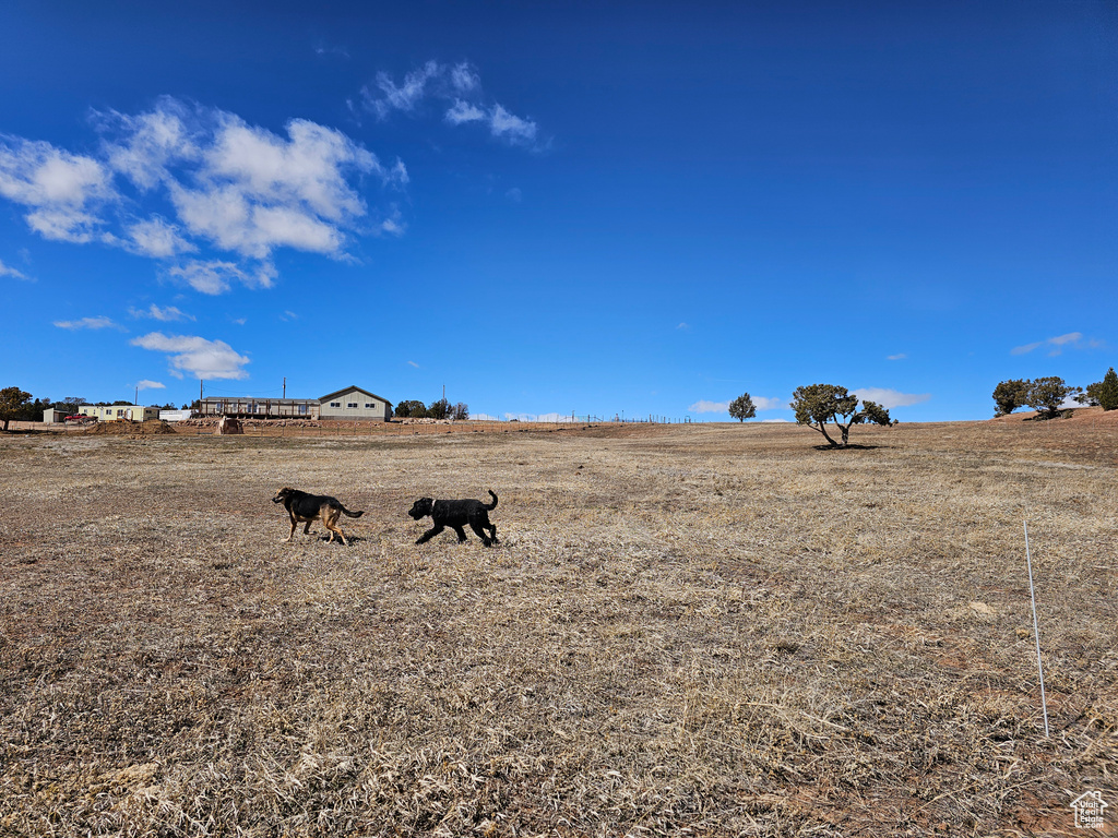 View of yard with a rural view