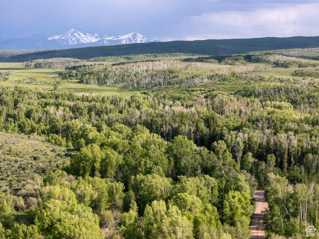Mountain view featuring a forest