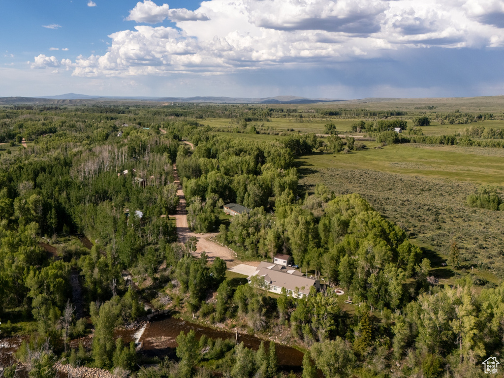 Bird\'s eye view of a heavily wooded area