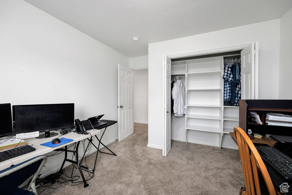Office area with baseboards and carpet flooring