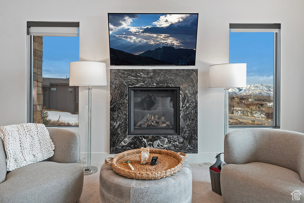 Living room with a high end fireplace and carpet flooring