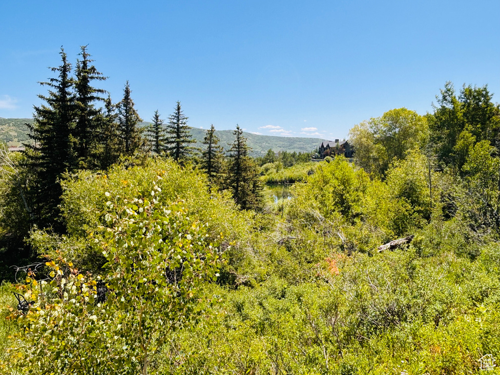 View of nature